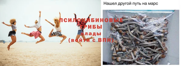 сатива Надым