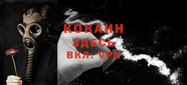 сатива Надым