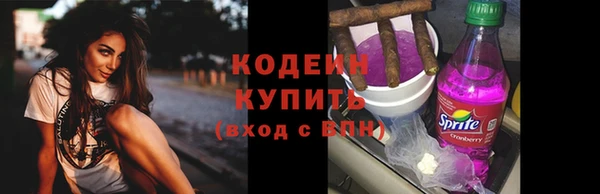 сатива Надым