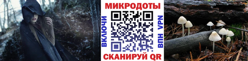 МЕГА как войти  Болохово  Псилоцибиновые грибы GOLDEN TEACHER 